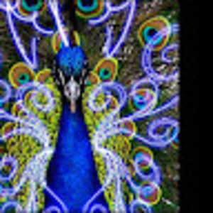 Meet your Posher, Ruby